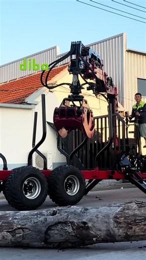 Timber Crane in Forestry Work