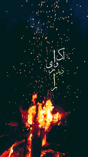 🦋 on Instagram: "Jee kardah! #viral #foryou #explore"