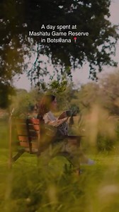 A glimpse into a day spent at magical Mashatu 🇧🇼🌍 With so much awe-inspiring beauty and enchantment, Mashatu is one of those hidden gems that you simply HAVE TO add to your travel plans this year! Book your stay today: reservations@mashatu.com (SA) / reservationsbw@mashatu.com (BW) ☎️ 27 31 761 3440 (SA) / 267 74 988 822 (BW) 🌐 https://mashatu.com/ #MashatuGameReserve #Safari #Travel #Botswana | Mashatu Game Reserve