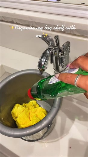 Organize Your Bag Shelf: Cleaning Tips and Techniques