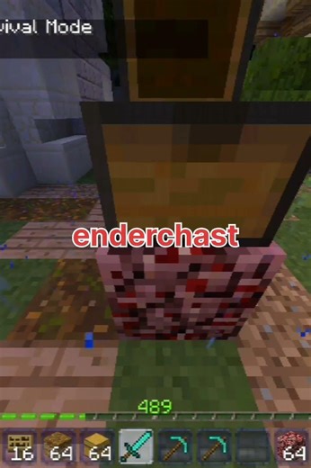 Server craftsman 😄😉 #minecraft