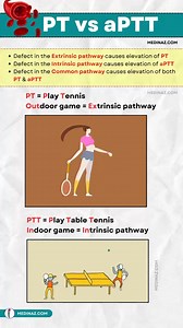 PT vs aPTT | Cardiophilia