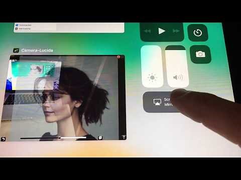 Large Art and Camera Lucida