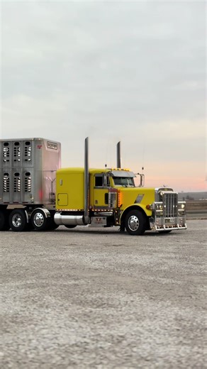 Thanks to the man upstairs🙏 no appointment needed!! #semitruck #fypage #peterbilt #livestock #trucking