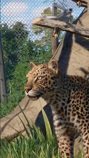 Finished African Leopard Habitat in the Elm Hill City Zoo! 🐆 | Planet Zoo