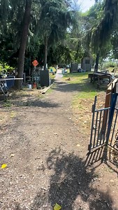 A homeless village built by the homeless and managed by the homeless. It has rules, structure, and a sense of shared responsibility. Residents work together to maintain a functioning community. There’s a communal garden, a small farm, and even a few homes powered by solar panels. There’s no plumbing yet, but despite that, the camp runs better than many professionally managed sites. #Homeless | Truth on the streets