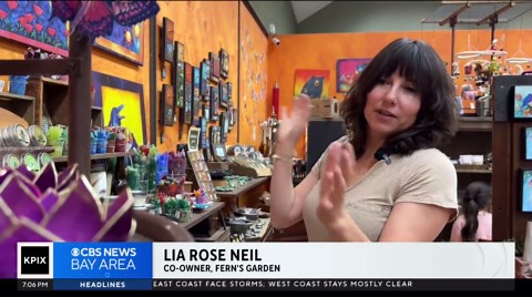 Berkeley city leaders consider upzoning several neighborhoods