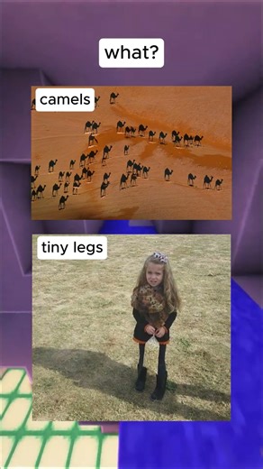 Confusing Perspective pt.10