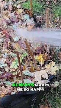 From Dormant Garlic To Delicious Harvest Full Season Guide!