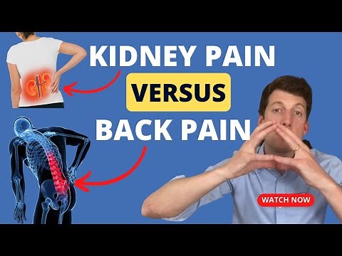 How do I know if I have kidney pain or low back pain?