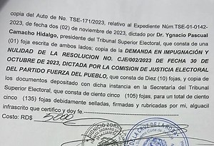 Orlando Espinosa recurre ante el Tribunal Superior Electoral anulación de encuesta. - El Constituyente