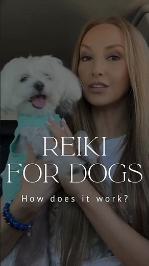 Reiki for Dogs #animalreiki #reiki #shortsfeed #reikihealing #doglover #dogshorts #dogs