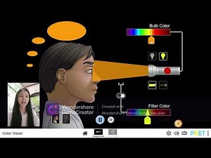 Phet Simulation-- Color Vision