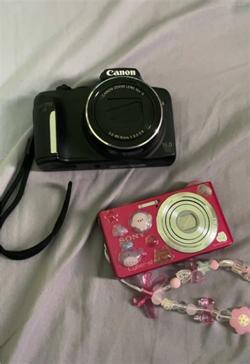 Comparing Sony W610 and Canon SX170 IS Digital Cameras