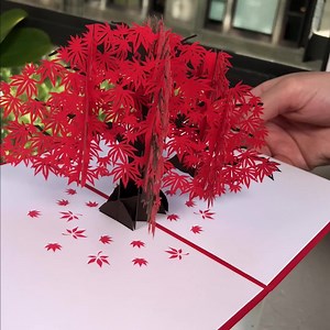 1.7M views · 6.4K reactions | I love these cards! BUT the very best thing about them is giving them! If you have ever received one you know how wonderful it made you feel. You knew you were special and I bet you still have that card! So fun to give and get. — Carolyn D. | Lovepop Cards | Facebook