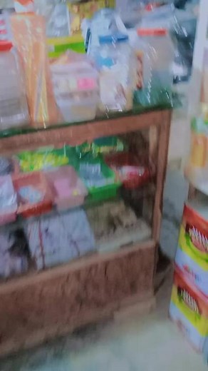 Exploring Retail Shelves: Packaged Goods in Shops