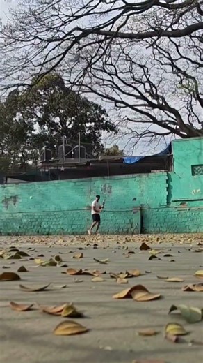 Australian Open Effect...Some Backhand Shots!