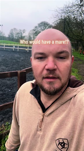 Mares coming in to season! #horsedad #equine #horse #equestrian #mares