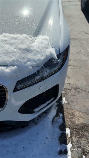 2024 Jaguar XF #SHARPE #JaguarXF #LuxurySedan #GrandRapidsMI #CarShopping