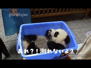 測れないよ！？