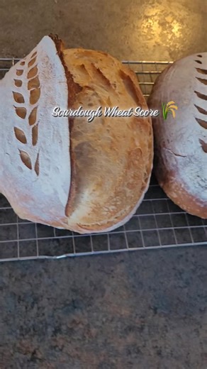 Sourdough Wheat Scoring Techniques for Beautiful Bread