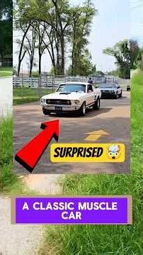 Cops messed with the Wrong Veteran 😱 #shorts #cops #lawncare #community #satisfying #lawn #viral