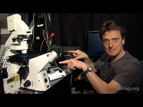 Microscopy: Adjusting the Eyepiece and Camera (Nico Stuurman)
