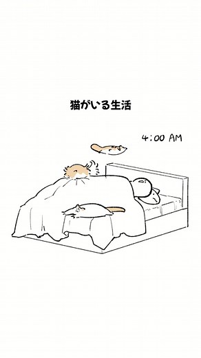 猫がいる生活：もちわさ日和