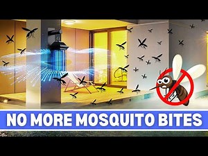 5 Genius Ways to Repel Mosquitoes from Your Backyard Naturally!