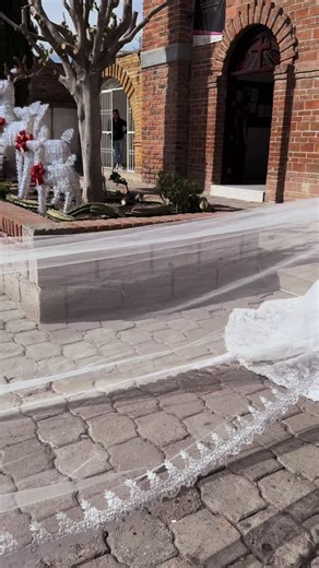 Una boda así 😻#soybeto05🌟 #betobustamante05 #fypシ #boda