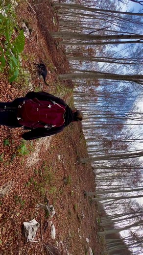 me and Atlas in the woods 🍁🍂#dog #autumn