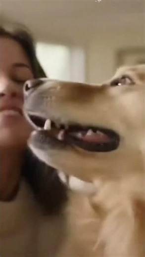 Cute Dog Boop! 🐶 Adorable Reaction Guaranteed!