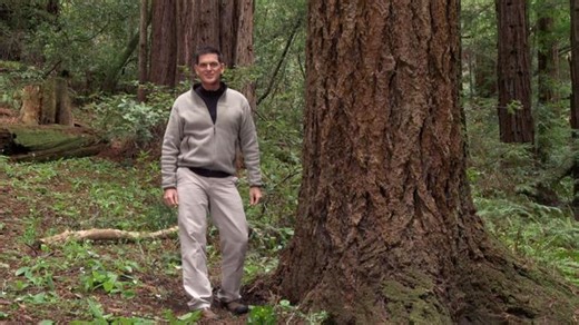 Dinosaur Train - Dinosaur Discoveries: Decomposition Video | PBS KIDS