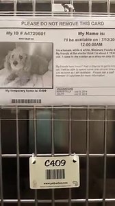 19 reactions · 15 shares | This 6yr old sweetie is in the medical...