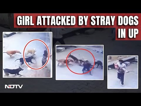 UP Dog Attack | Girl Attacked By Pack Of Stray Dogs In UP, Locals Come To Rescue