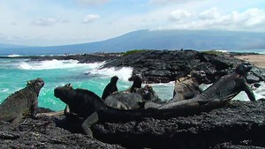 Water is life: Oceans are beautiful—and they also sustain us. In honor of World Ocean’s Day, find out how traveling with National Geographic helps save our seas. #WorldOceansDay | National Geographic Expeditions