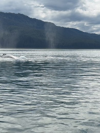 Glacier Bay Country Inn on Reels