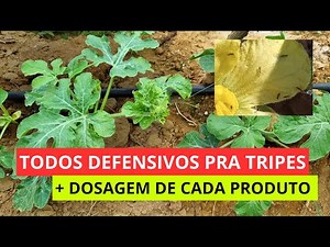 Pesticides for thrips in watermelon + dosage of each product