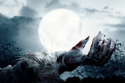 Legendary wolf man photographed in German forest