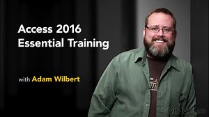 【教程】Access 2016 基础教程 (Lynda 无字幕)