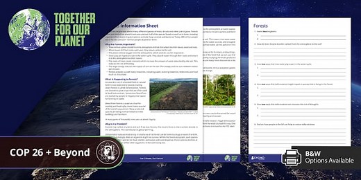 COP: Forests Reading Comprehension Age 11