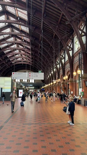 【ヨーロッパ縦断人一人旅】コペンハーゲンからハンブルグまで電車で行った日のvlog🇩🇰🚊🇩🇪 #一人旅#ヨーロッパ旅#Airbnb #コペンハーゲン#ハンブルグ