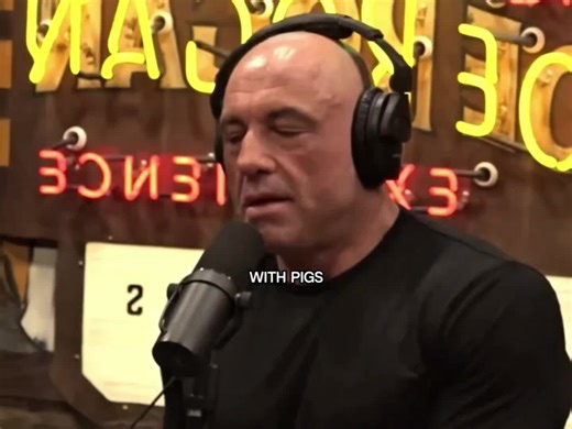 Understanding Pig Evolution from Domestic to Wild Boar