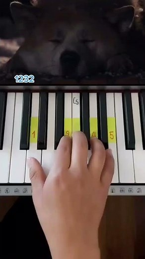 Hachiko Siempre a tu lado - GoodBye (PIANO TUTORIAL) EASY Piano Fácil Con Números