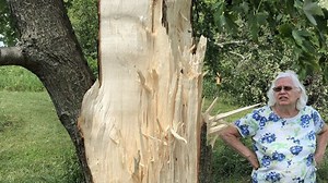 Severe weather June 26 leads to damaging downburst winds, not a tornado