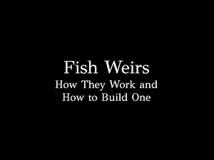 Fish Weirs: How They Work and How to Build One