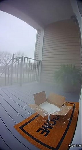 Powder Bomb Explodes In Thief's Face! #porchpirate #instantkarma #fail #busted