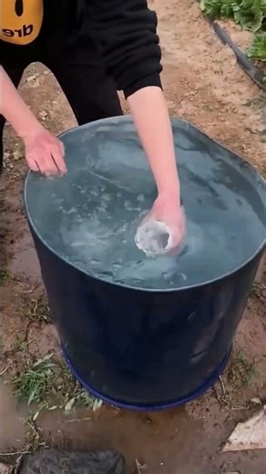The process of using the siphon principle to drain water from a bucket