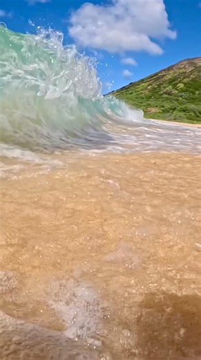 Micro sand suckers at Sandys #yessah