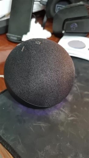 alexa dot 5 y no la puedo conectar lo hacen complicado #alexa #petersonartandgames